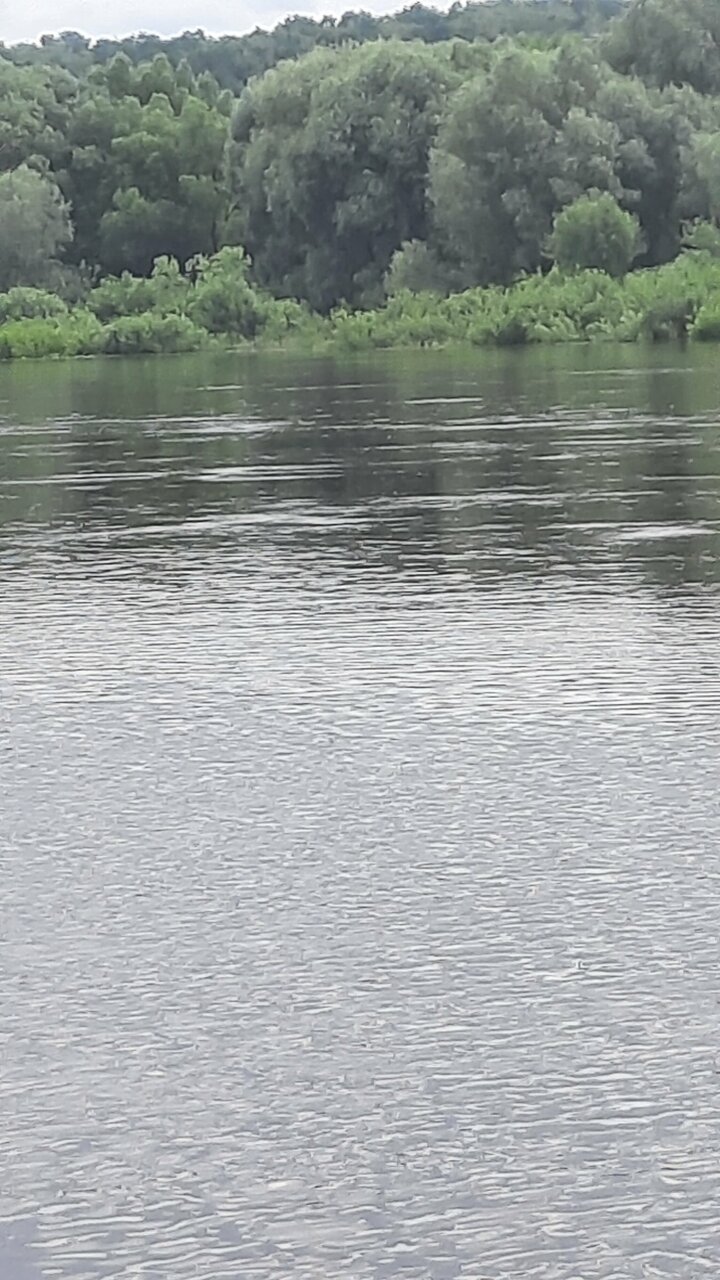 Гостиница Прибрежная Калуга