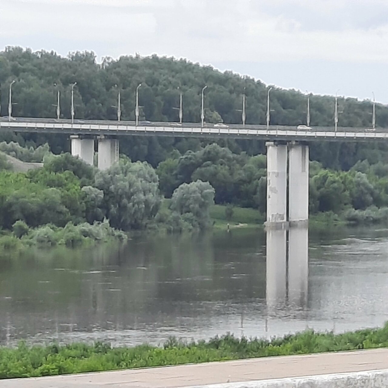 Гостиница Прибрежная Калуга-151