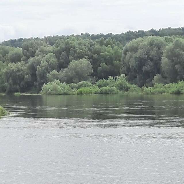 Гостиница Прибрежная Калуга-165