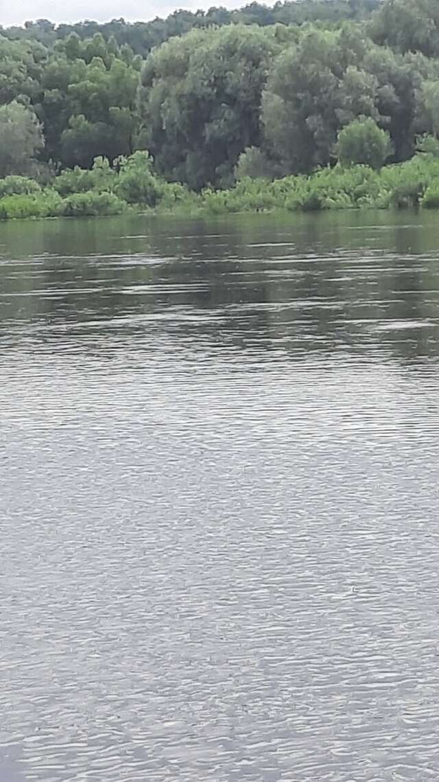 Гостиница Прибрежная Калуга-121